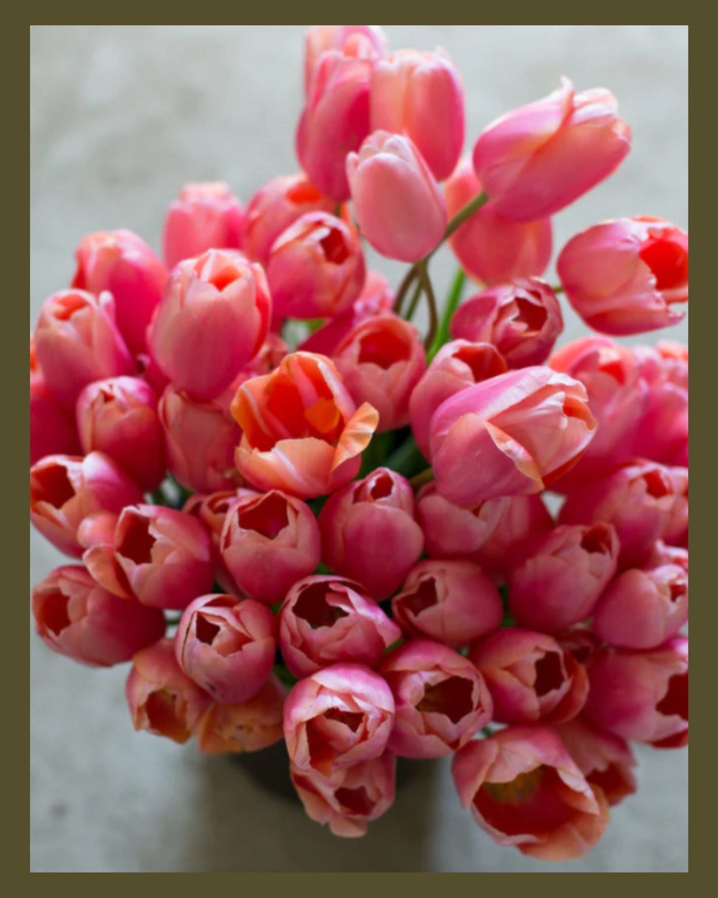 Menton Tulips | 20 Stem Specialty Tulip Bouquet